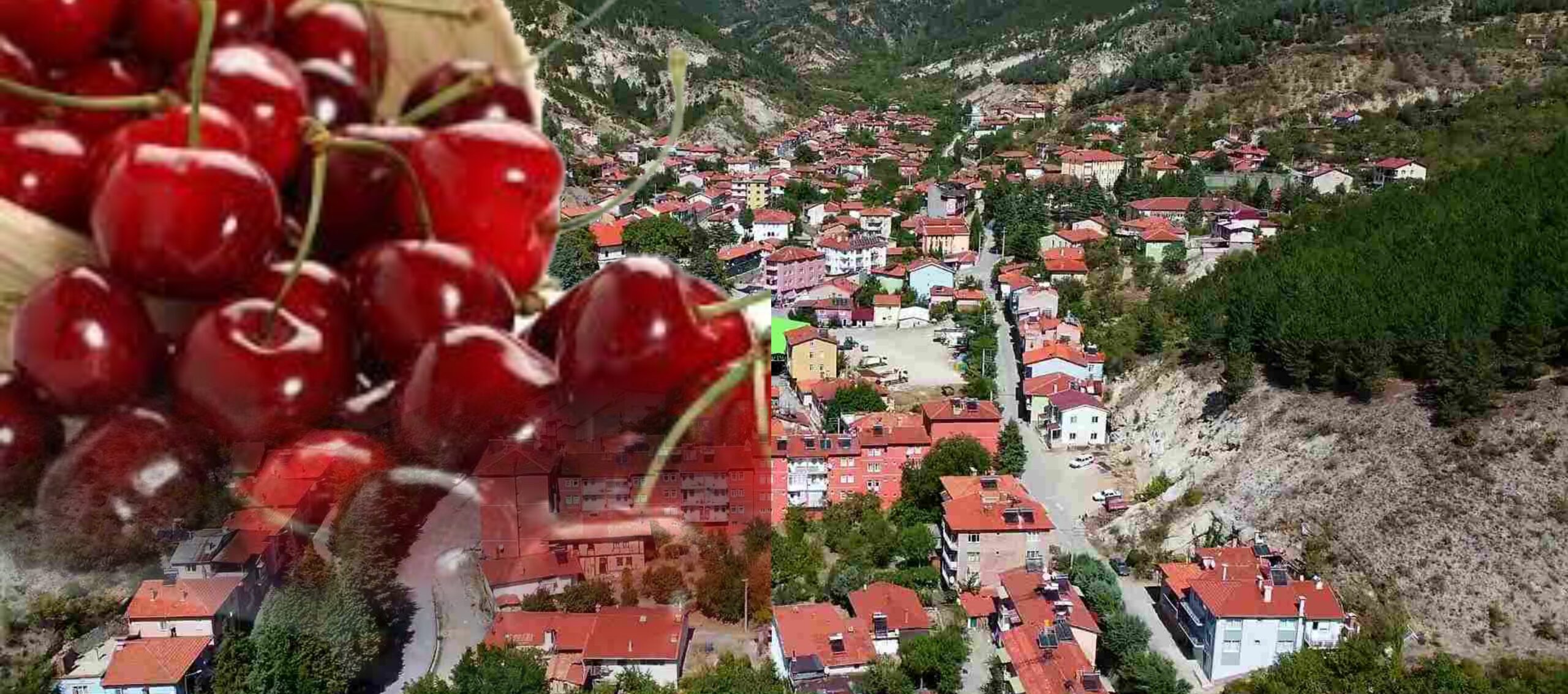 Türkiye’nin Vişne Devleri Açıklandı: Kütahya İlçeleri Üretimde Zirveye Oynuyor!