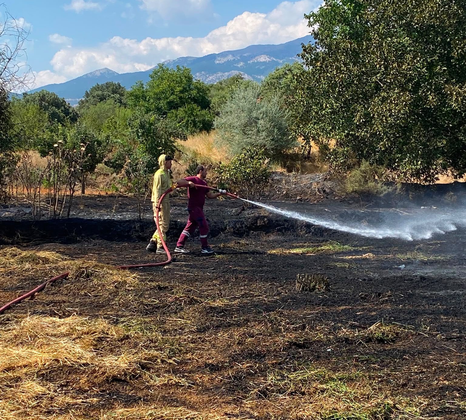 GEDİZ’DE YERLEŞİM YERLERİNE YAKIN TARLA YANGINI KORKUTTU: EVLERE SIÇRAMADAN SÖNDÜRÜLDÜ