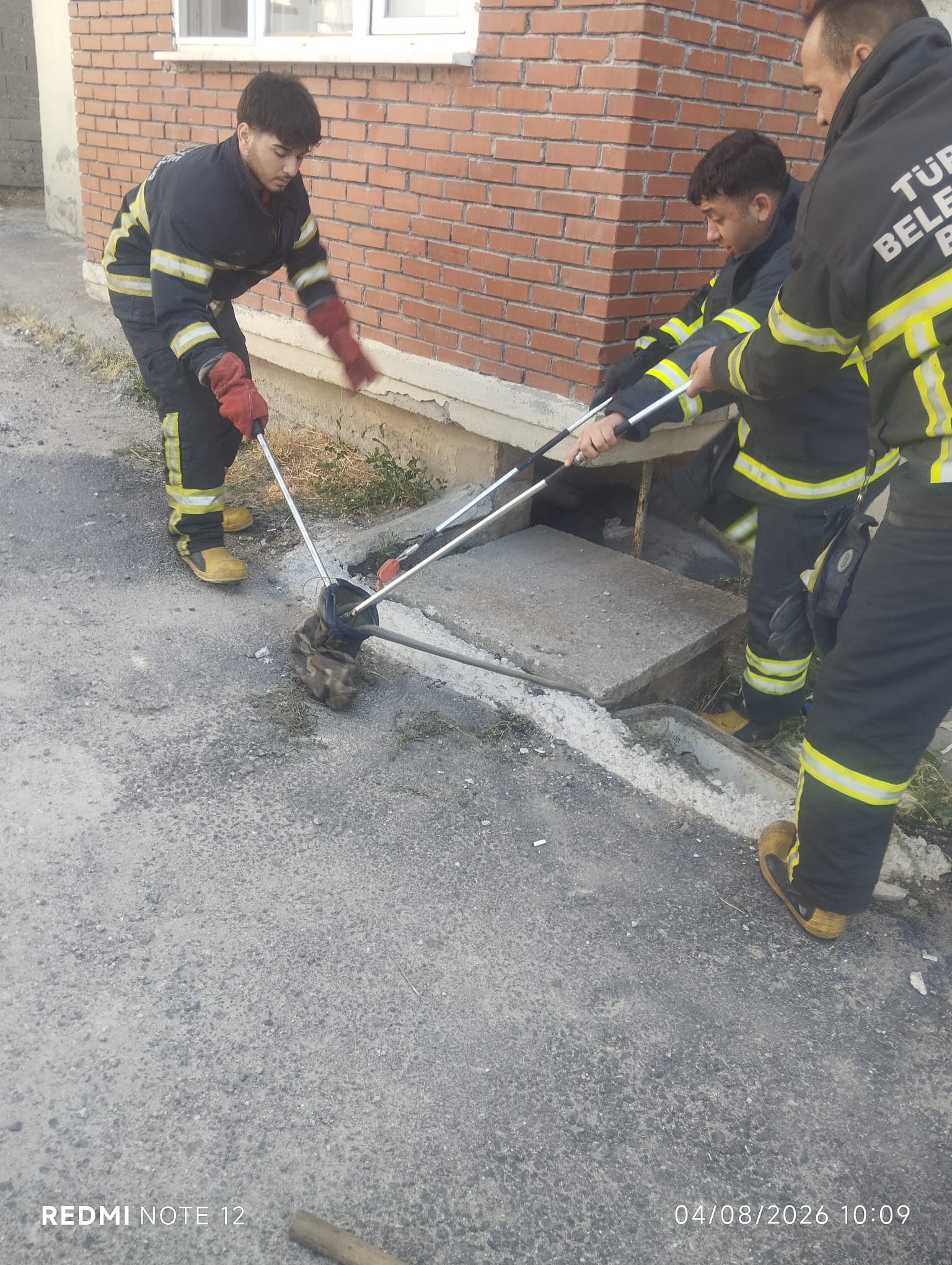Gediz’de Yerleşim Yerine İnen Yılan İtfaiye Ekiplerince Doğaya Salındı