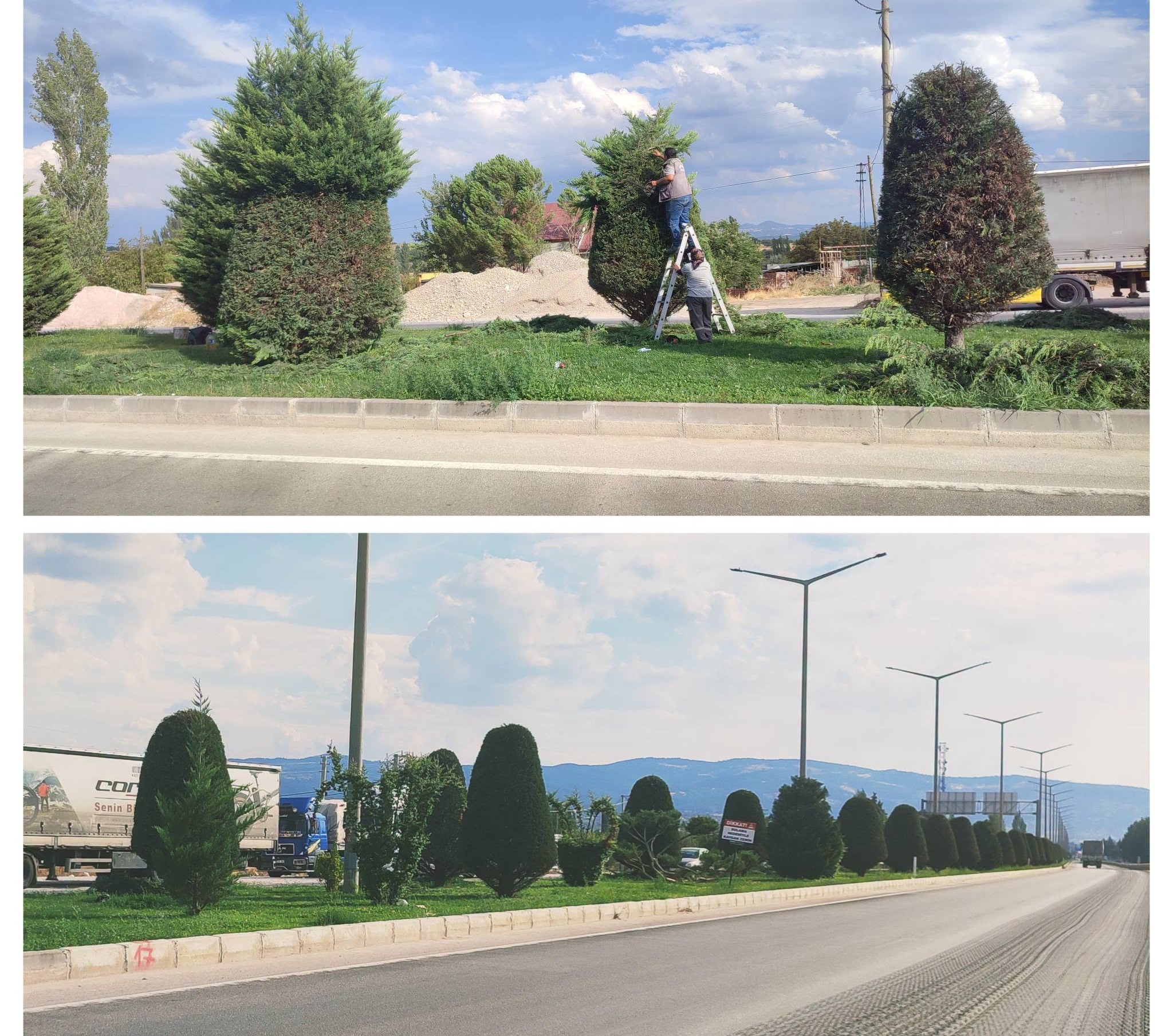 Gediz Çevre Yolunda Görsel Dönüşüm: Refüjlerde Peyzaj Çalışmaları Sürüyor!