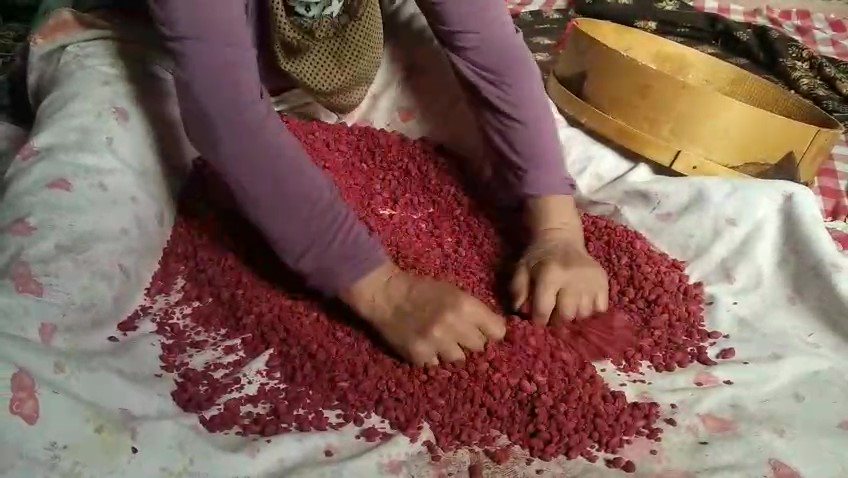 Kırmızı Şifa Kaynağı Sofralara İniyor: Gediz Köylerinde Kızılcık Tarhanası Telaşı!
